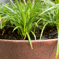 FormBoss REDCOR Ring 777mm