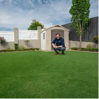 Tiftuf Bermuda Instant Turf (Webstore test)