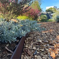 2mm REDCOR 2440mm Edging with 6.5mm top width