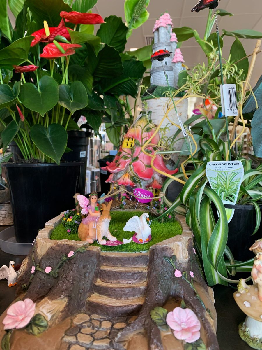 Chlorophytum pictured in fairy garden