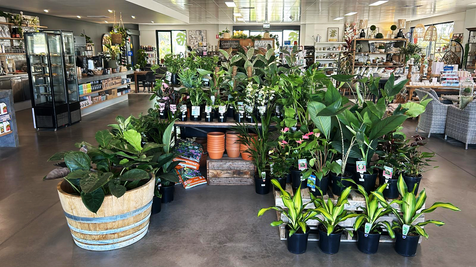 ASQ Garden & Landscape Plant display