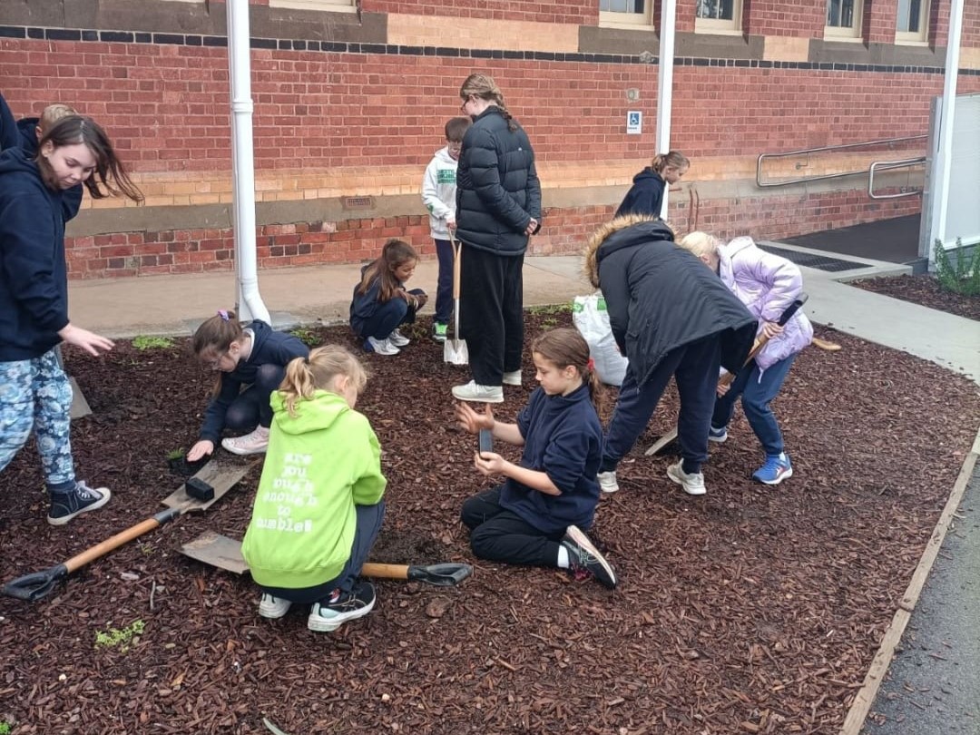 Students getting involved
