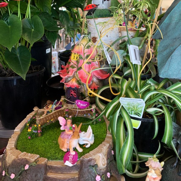 Fairy garden with plants