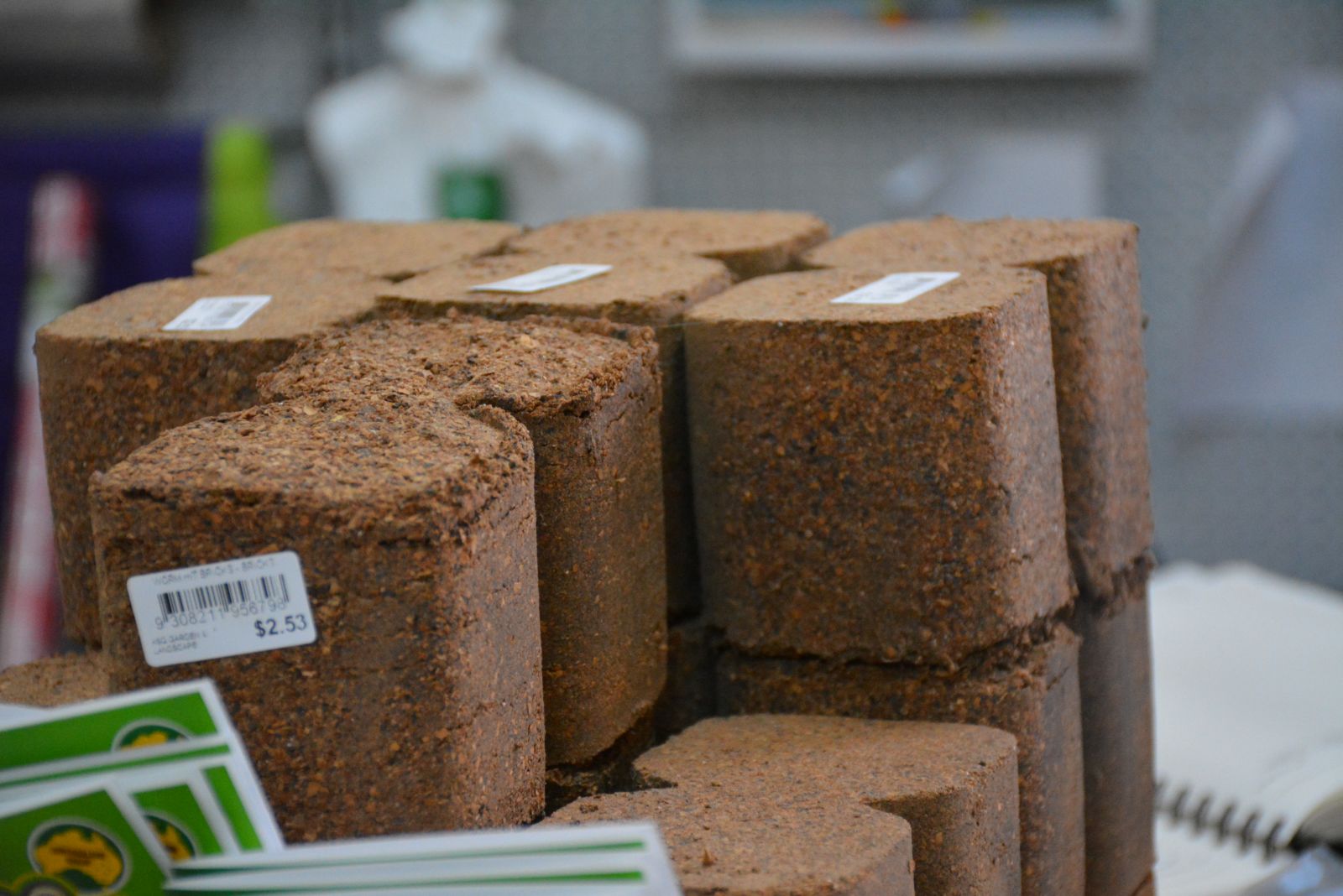 Worm Hit Bricks