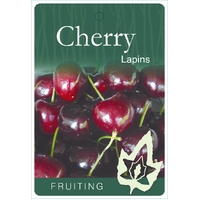 Cherry Lapins