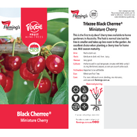 Cherry Black Cherree