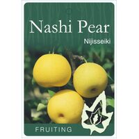 Pear Nashi 20Th Century