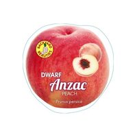 Peach Dwarf Anzac