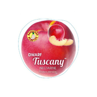 Nectarine Dwarf Tuscany