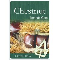 Chestnut Emerald Gem