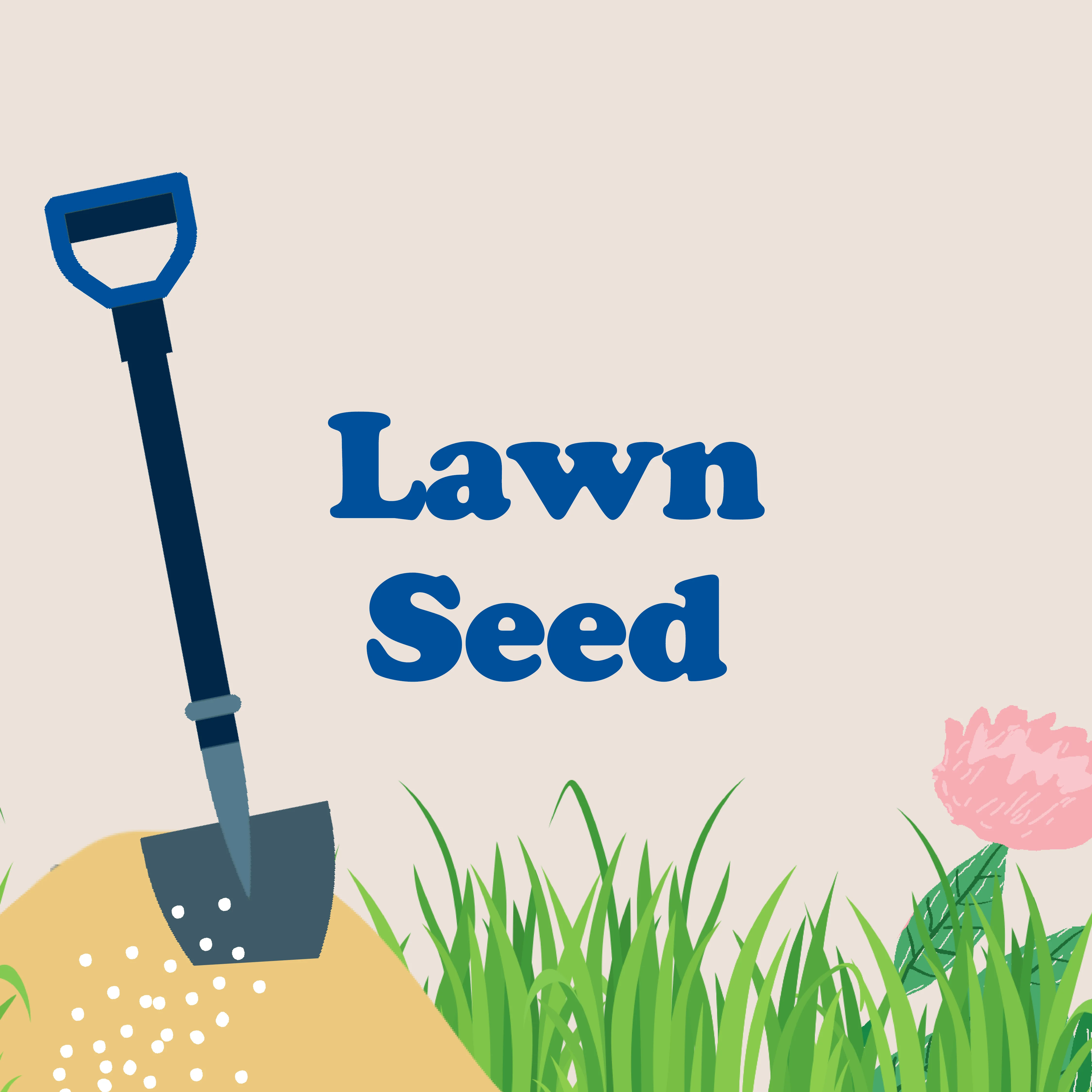 Lawn Seed