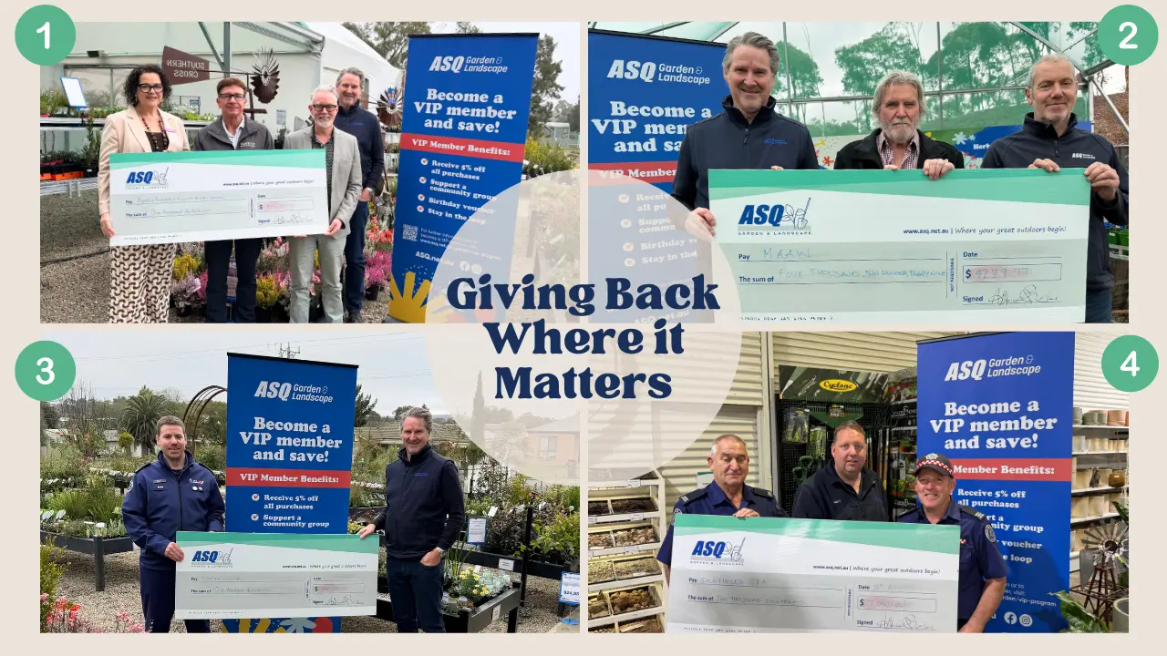 The VIP members give back again